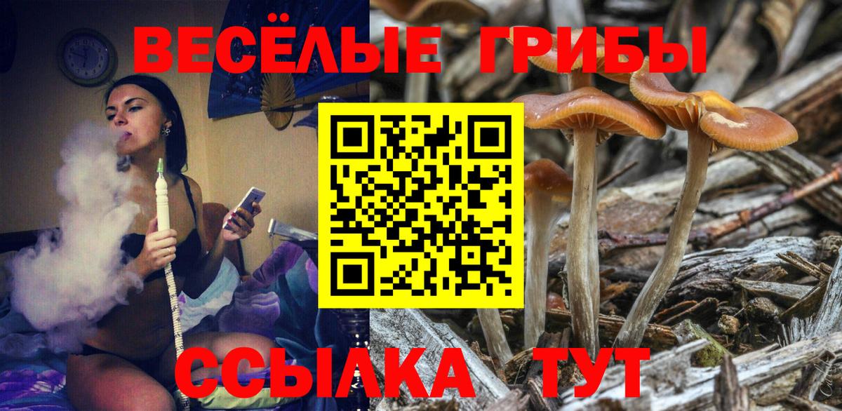 Галлюциногенные грибы Cubensis  Псилоцибиновые грибы мухоморы  Домодедово  Вход с VPN 